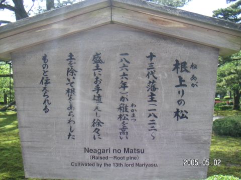 s_pict0136.jpg